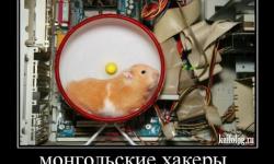 Монгольские хаккеры