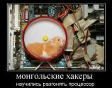Монгольские хаккеры