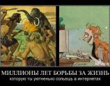 Миллионы лет борьбы за жизнь